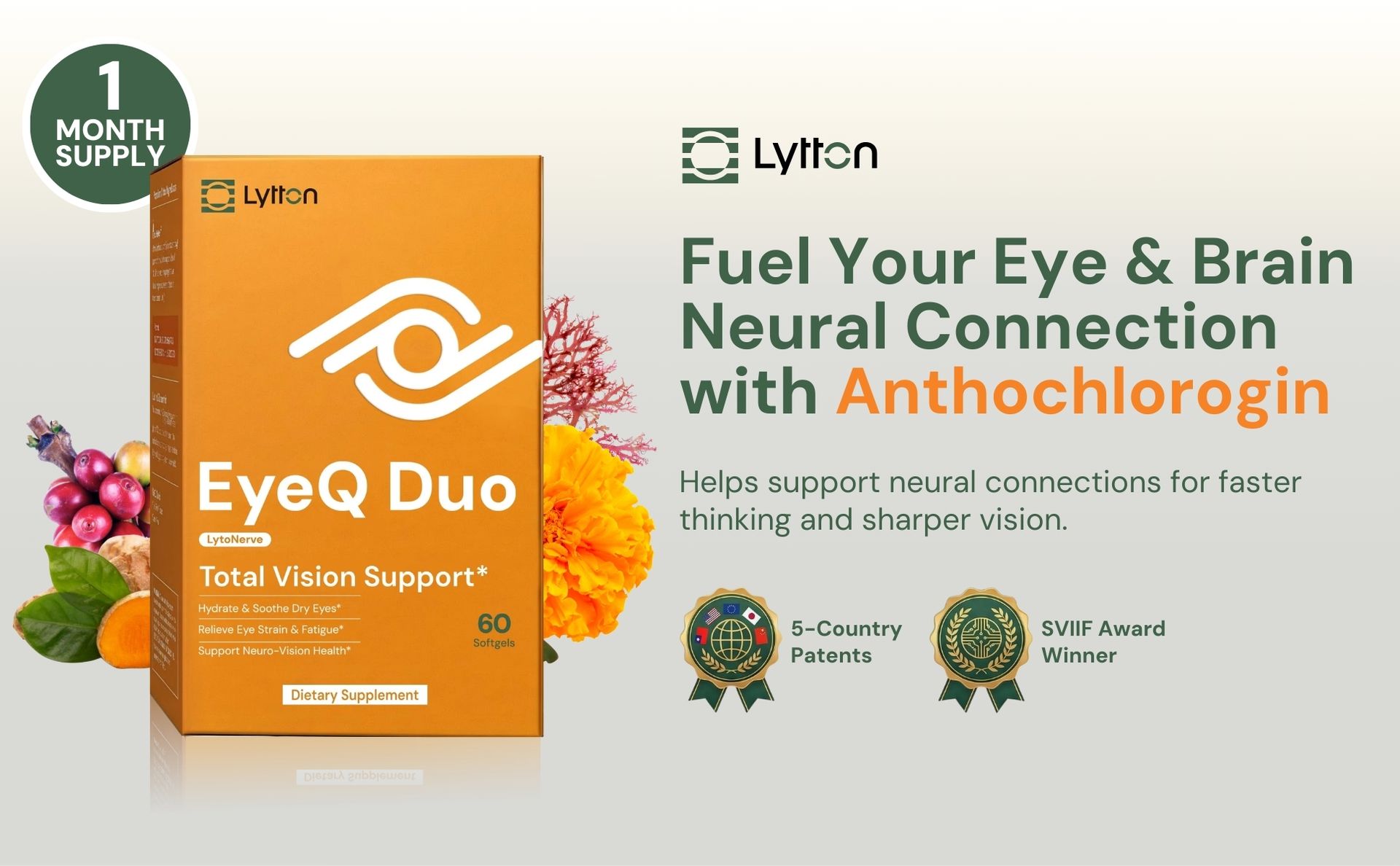 LYTTON EyeQ Duo Digital Eye & Focus Support – Patented Anthochlorogin for Brain-Eye Connection, Promotes Ocular Vitality – Rapid Visual Comfort & Natural Formula for Screen Users, 60 Softgels