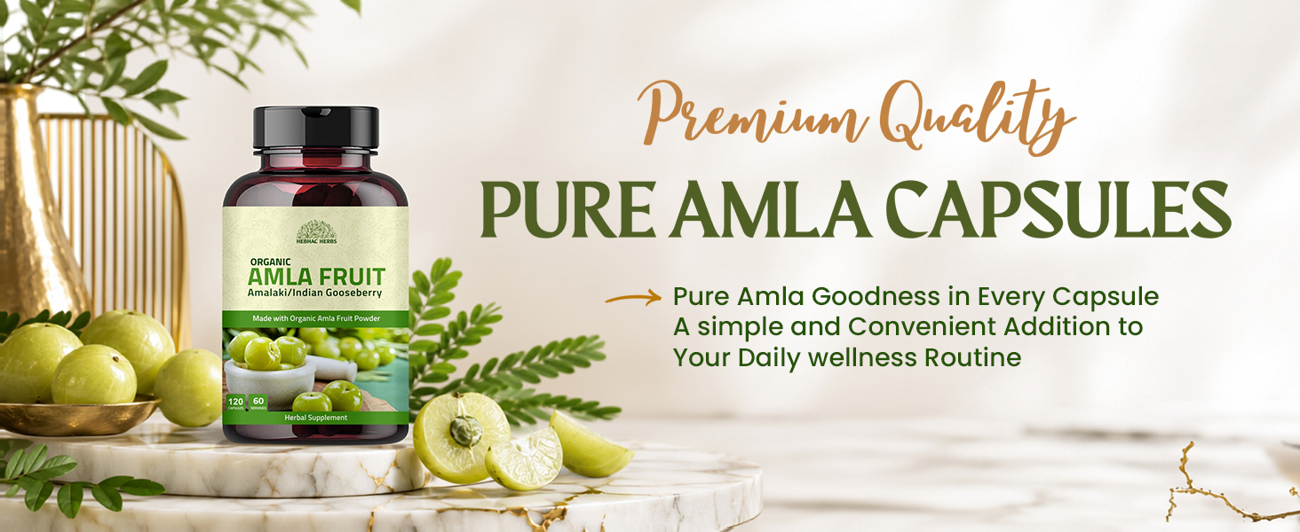 Amla Capsules (Phyllanthus Emblica) – Amalaki amla 120 Capsules | Natural Antioxidants Superfood | Herbal Supplement Made with Organic Amla Fruit Powder