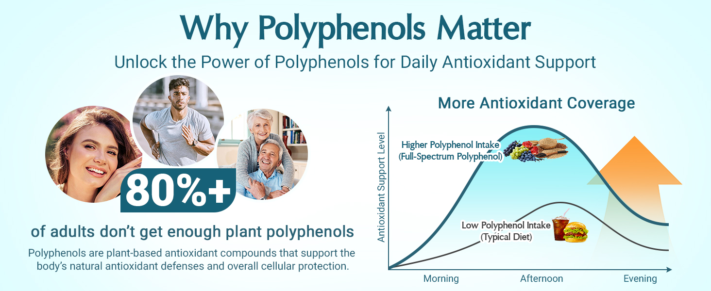 (120 Count) Polyphenols Supplement 1500mg – Over 20 Fruit, Herbal & Cereal Full Spectrum Polyphenol Complex with Resveratrol, Grape Seed & Green Tea – Tri-Color MicroBeadlets – Powerful Antioxidant