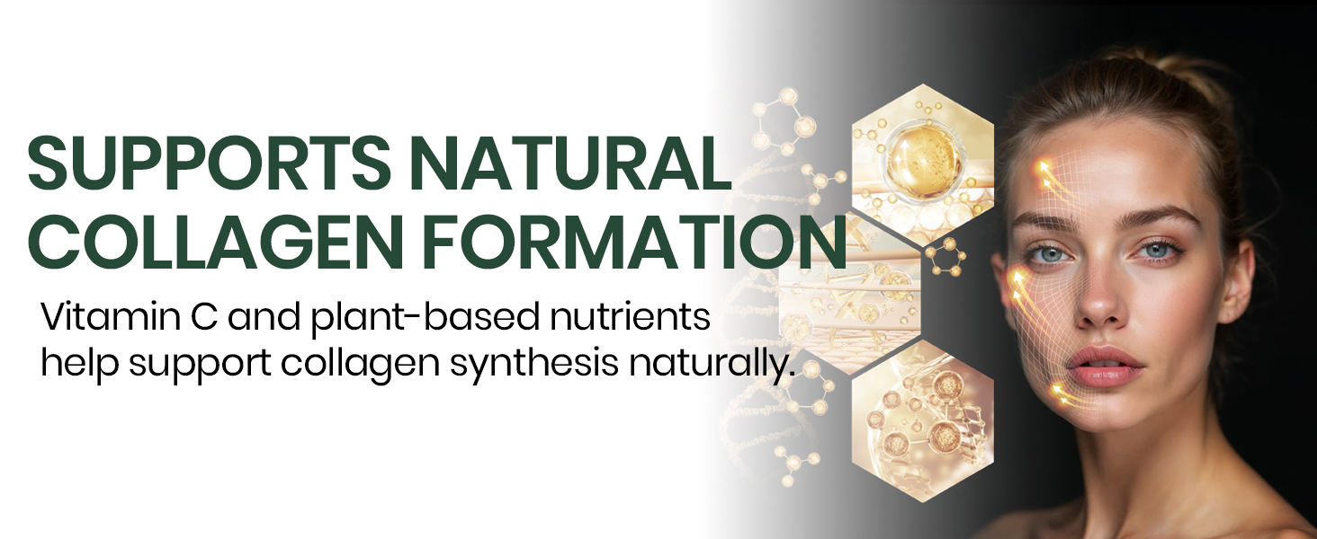 Vlado’s Himalayan Organics Plant Based Organic Collagen Builder Supplement With 8 B Vitamins for Hair and Skin | Collagen Supplement for Women & Men | Collagen Capsules With Biotin & Vitamin C | Glowing and Youthful Skin (90 Capsules)
