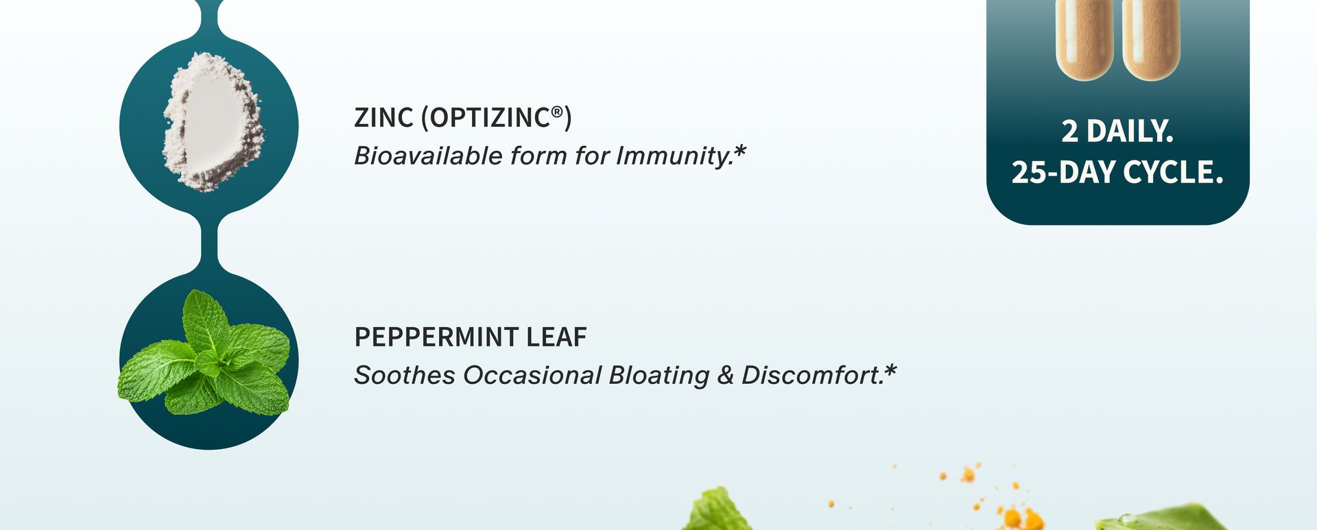 Snap Supplements Gut Health Supplement & Organic Spirulina Chlorella Bundle