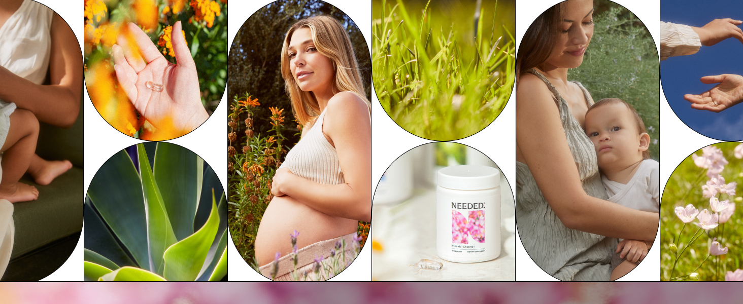 Needed. Prenatal Choline+ for Cognitive Development, 30 Liquid Capsules