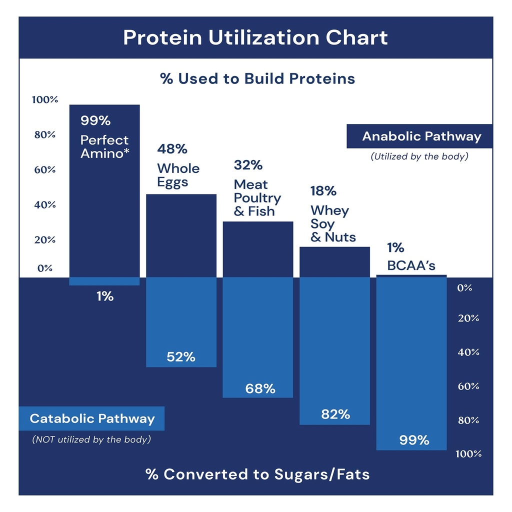 bodyhealth-perfectamino-bcaa-and-eaa-pow-4.jpg