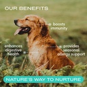 native-pet-probiotic-power-duo-colostrum-2.jpg