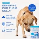native-pet-goat-milk-powder-for-dogs-60--3.jpg