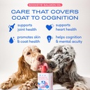 native-pet-the-daily-dog-supplement-90-s-3.jpg
