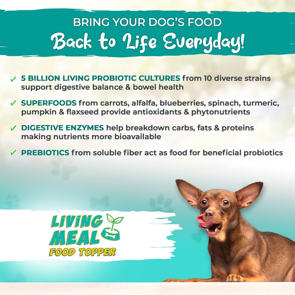 vital-planet-pet-living-meal-dog-powder--4.jpg