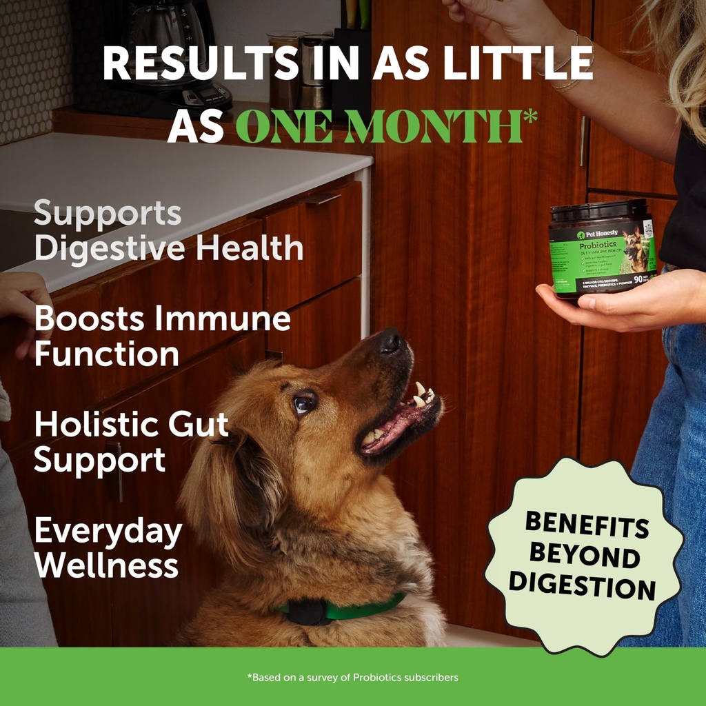 dog-digestive-multivitamin-virtual-bundl-2.jpg