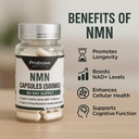 probase-nutrition-longevity-pure-nmn-cap-6.jpg