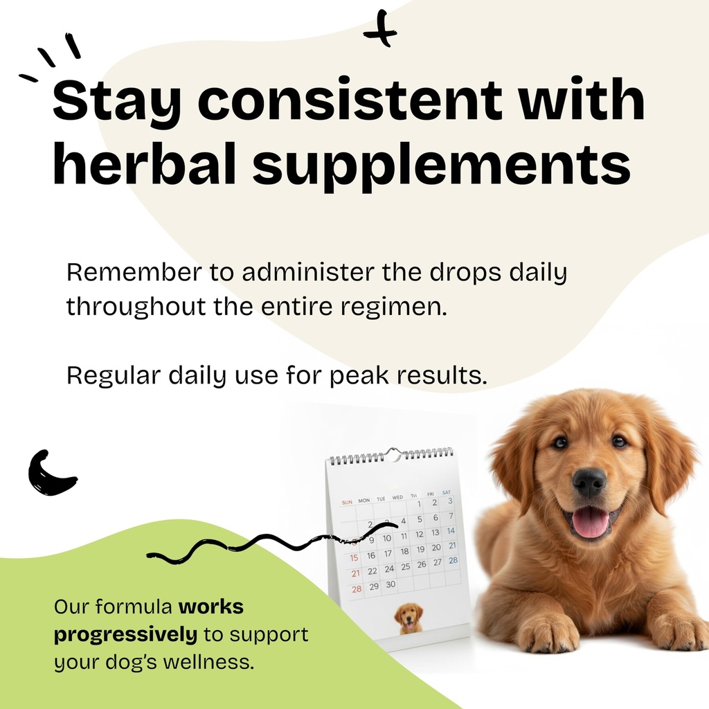 forever-puppy-cognition-drops-for-dogs-l-6.jpg