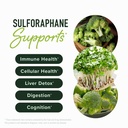 sulforaphane-complex-with-calcium-d-gluc-3.jpg