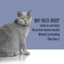 whole-life-cat-urinary-supplement-feline-5.jpg