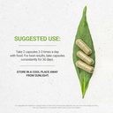 secrets-of-the-tribe-thyme-2x120-capsule-3.jpg