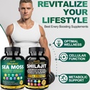 sea-moss-shilajit-capsules-for-energy-bo-4.jpg