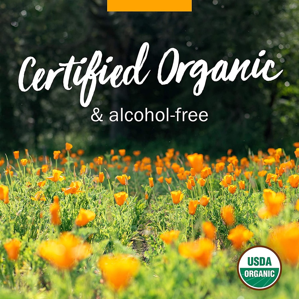 herb-pharm-certified-organic-lemon-balm--5.jpg