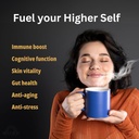 higher-selfTM-mushroom-coffee-ultimate-f-4.jpg