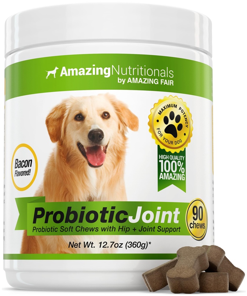 probiotics-for-dogs-digestive-with-dog-s-2.jpg