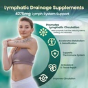 lymphatic-drainage-supplement-lymph-syst-2.jpg
