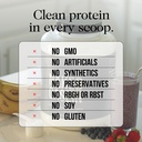 naked-casein-vanilla-micellar-casein-pro-4.jpg