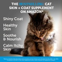 cat-multivitamin-skin-health-virtual-bun-3.jpg