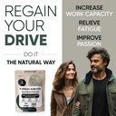 jungle-powders-ultimate-men-s-wellness-d-3.jpg