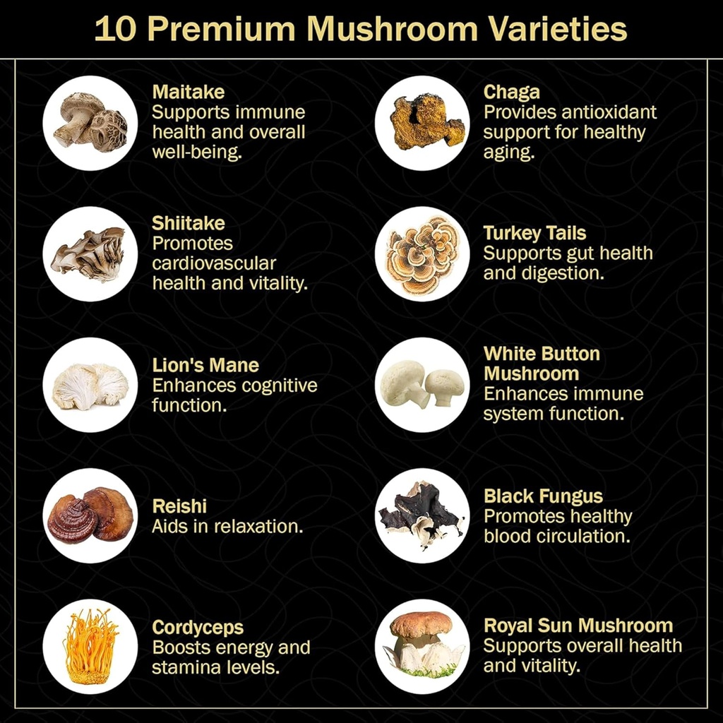 aamatec-life-mushroom-gummies-for-adults-3.jpg