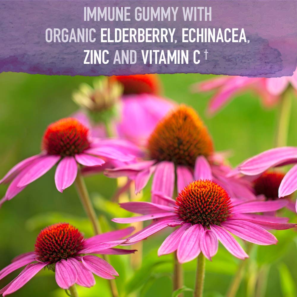garden-of-life-organics-kids-immune-bund-3.jpg