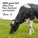 just-ingredients-mountain-berry-protein--4.jpg