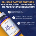 dirobi-eat-anything-xylose-isomerase-fru-3.jpg