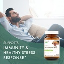 mycomune-4x-organic-mushroom-supplement--3.jpg