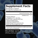 intelligent-labs-2-in-1-bundle-of-kids-p-3.jpg