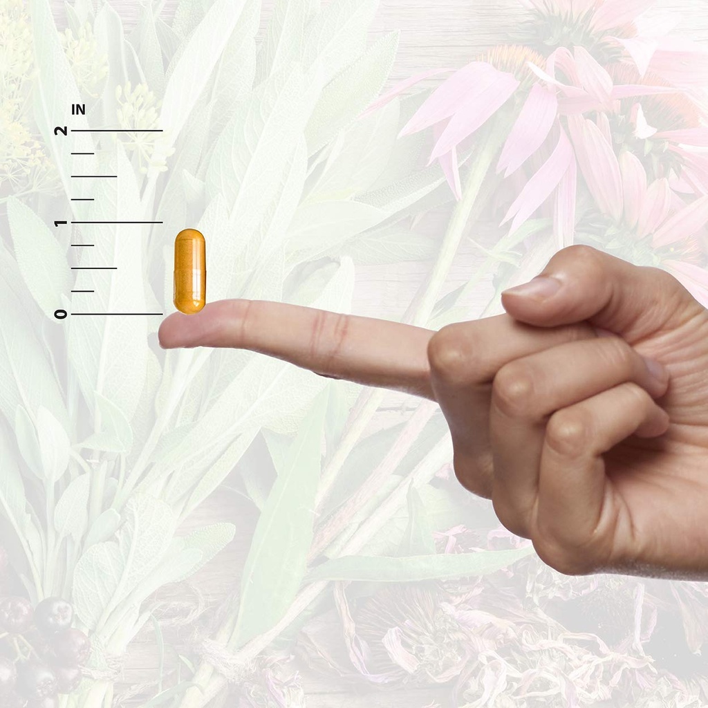 nature-s-answer-eyebright-herb-90-count-6.jpg