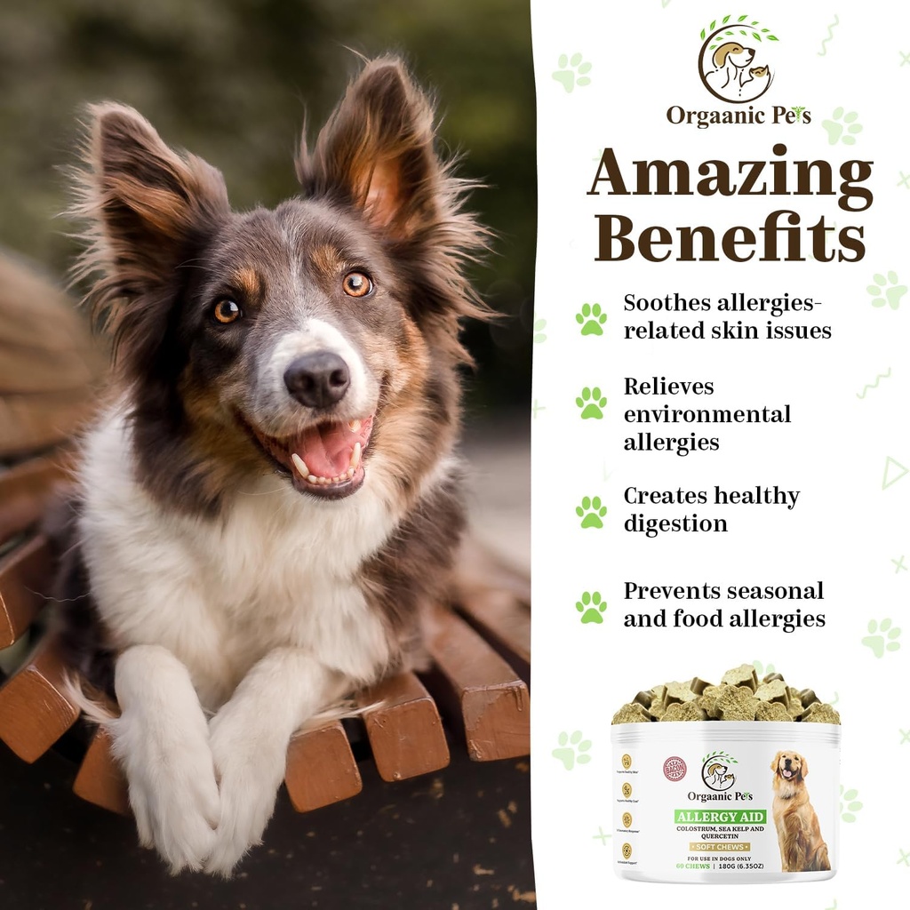 herbal-dog-allergy-relief-with-sea-kelp--2.jpg