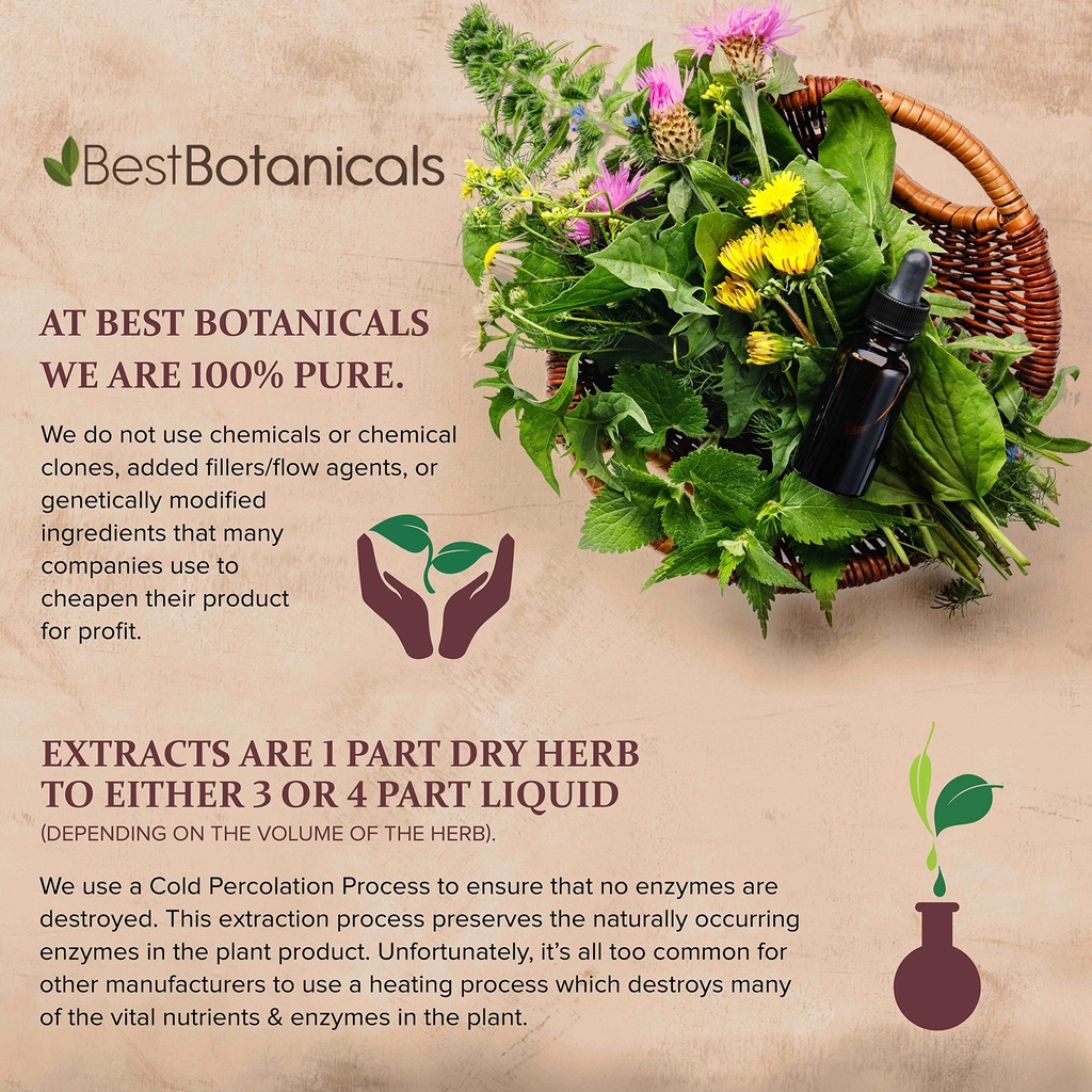 best-botanicals-chaparral-leaf-extract-1-4.jpg