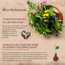 best-botanicals-chaparral-leaf-extract-1-4.jpg