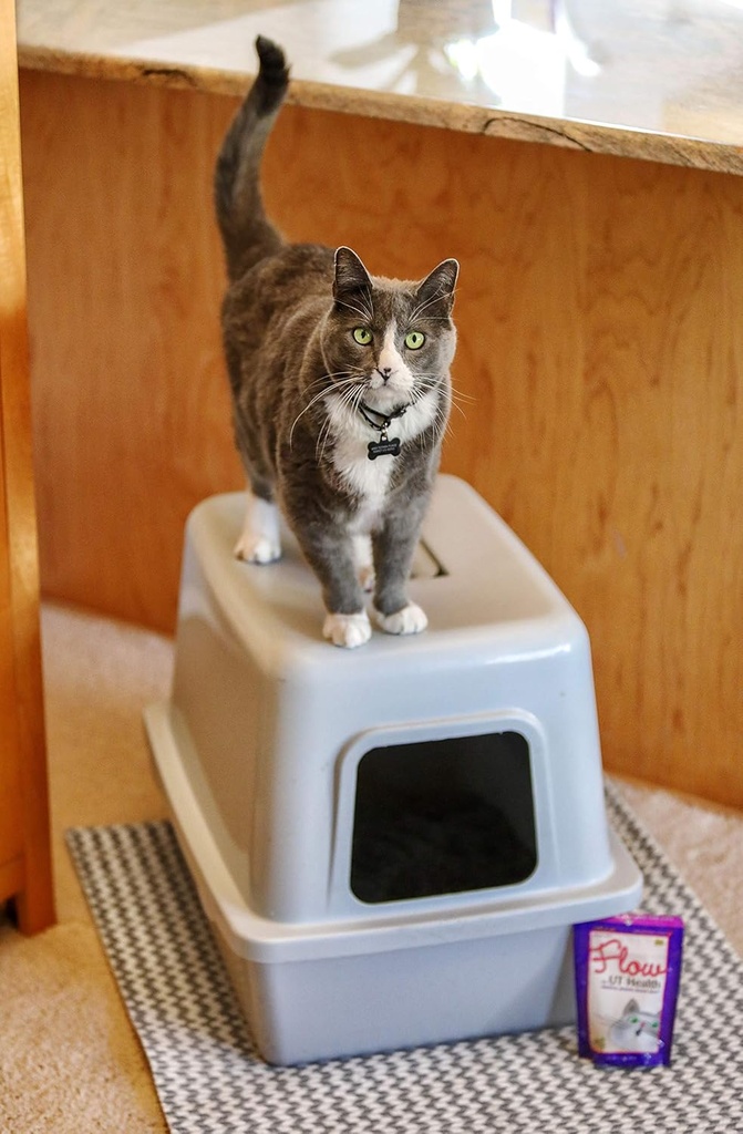 in-clover-flow-soft-chews-for-cats-daily-2.jpg