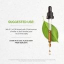 secrets-of-the-tribe-butchers-broom-alco-3.jpg
