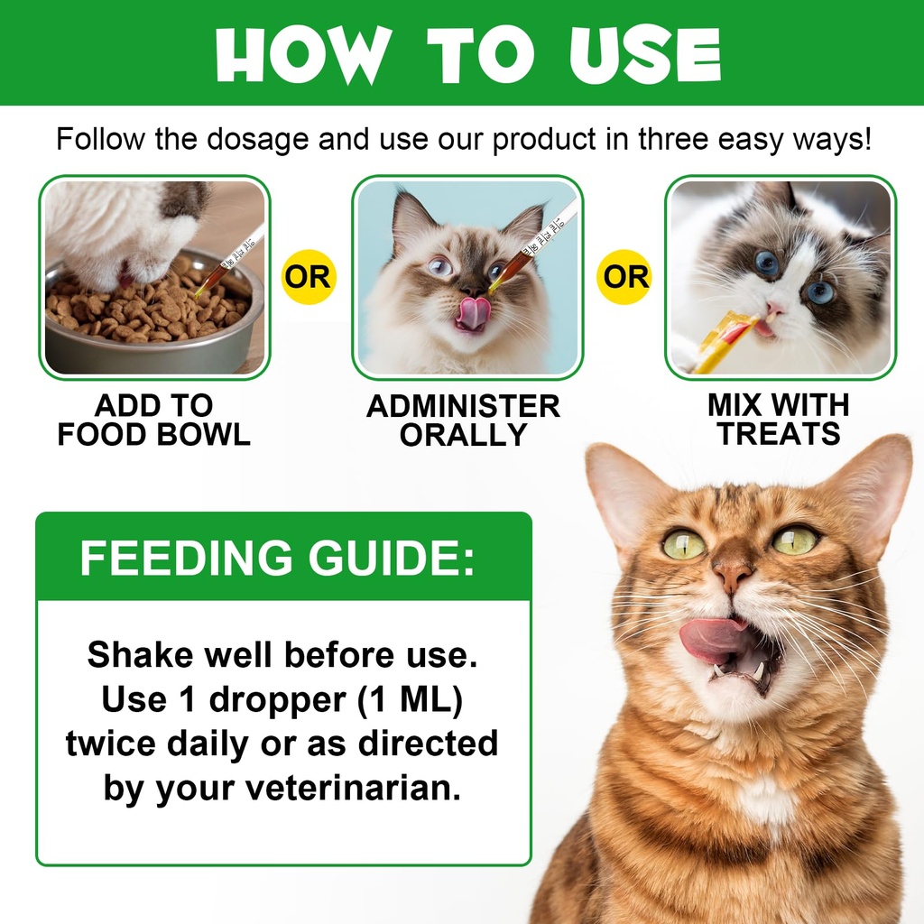 antibiotics-for-cats-natural-antibiotics-5.jpg