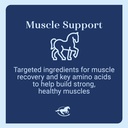 uckele-tri-amino-horse-supplement-equine-71uw1ttj0mL.jpg