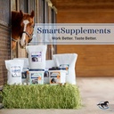 smartequine-smartcombo-senior-pellets-6--81OtKH36JlL.jpg
