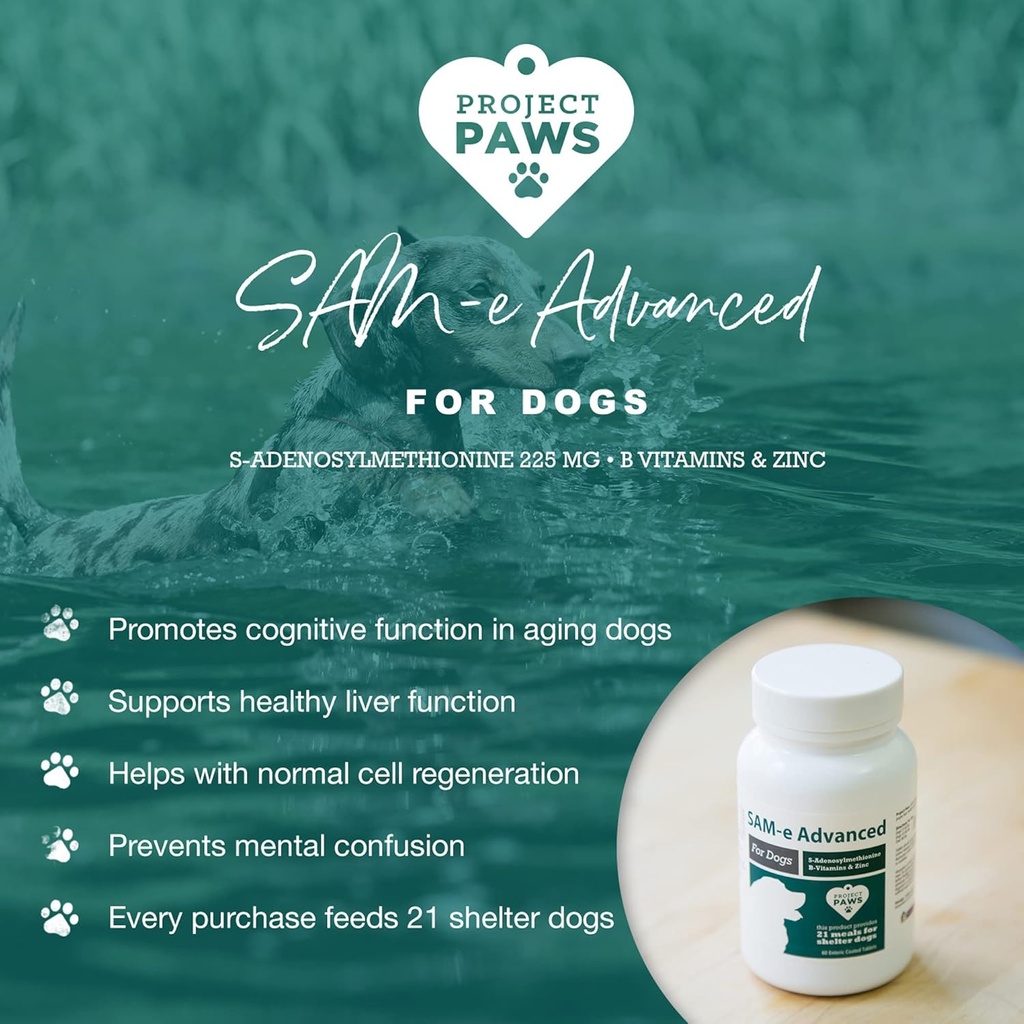 project-paws-same-for-dogs---liver-suppo-3.jpg