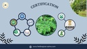 organic-amla-powder-lab-tested-for-heavy-6.jpg