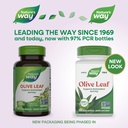 nature-s-way-olive-leaf-100-veg-capsules-71lJdWpQtkL.jpg