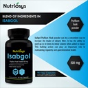 nutriosys-isabgol-500mg-supplement-suppo-81gDWA154UL.jpg