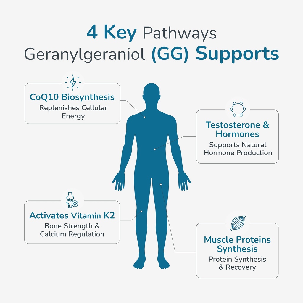 wellness-extract-gg-essential-150mg-plan-71NT4mrA1gL.jpg