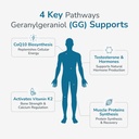 wellness-extract-gg-essential-150mg-plan-71NT4mrA1gL.jpg