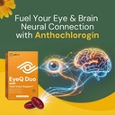 lytton-eyeq-duo-digital-eye-focus-suppor-81iJ21jJxNL.jpg
