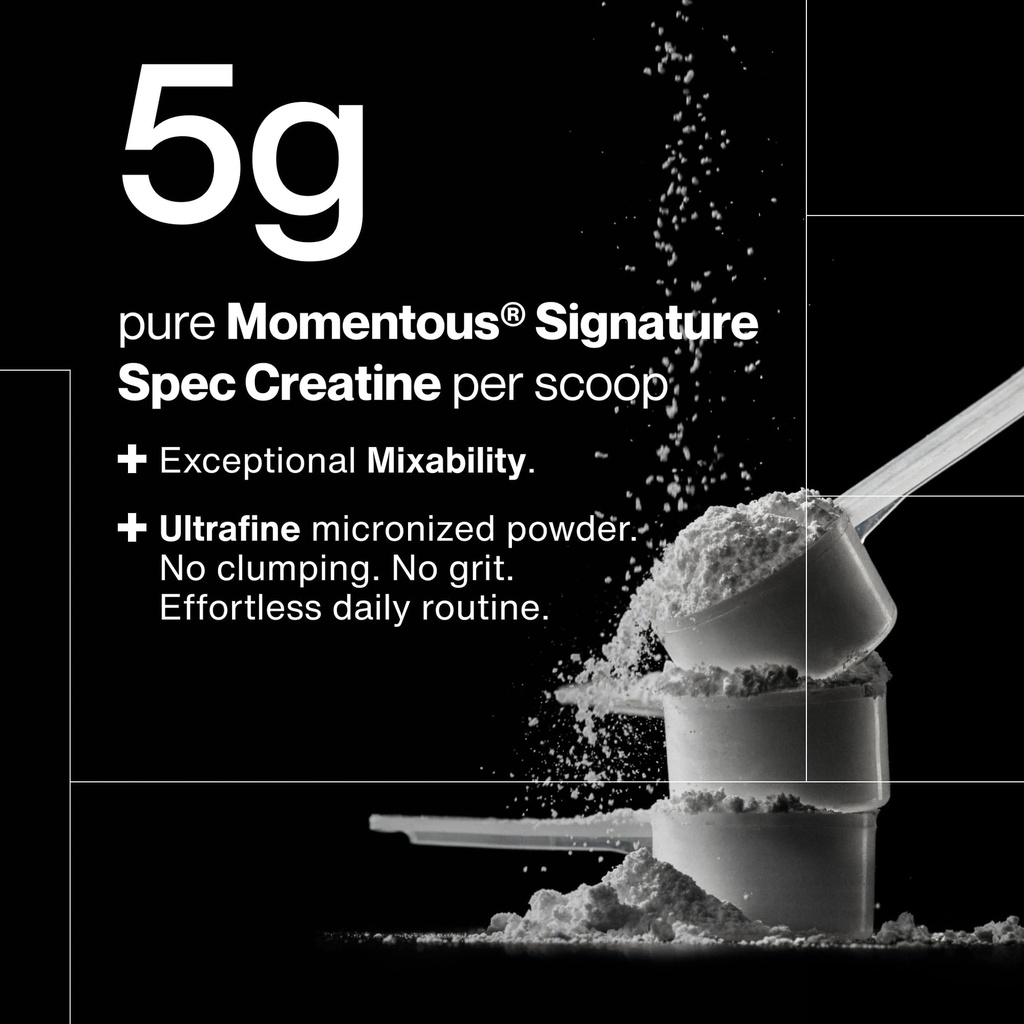 momentous-creatine-monohydrate-powder-5g-71aNX4mT5AL.jpg