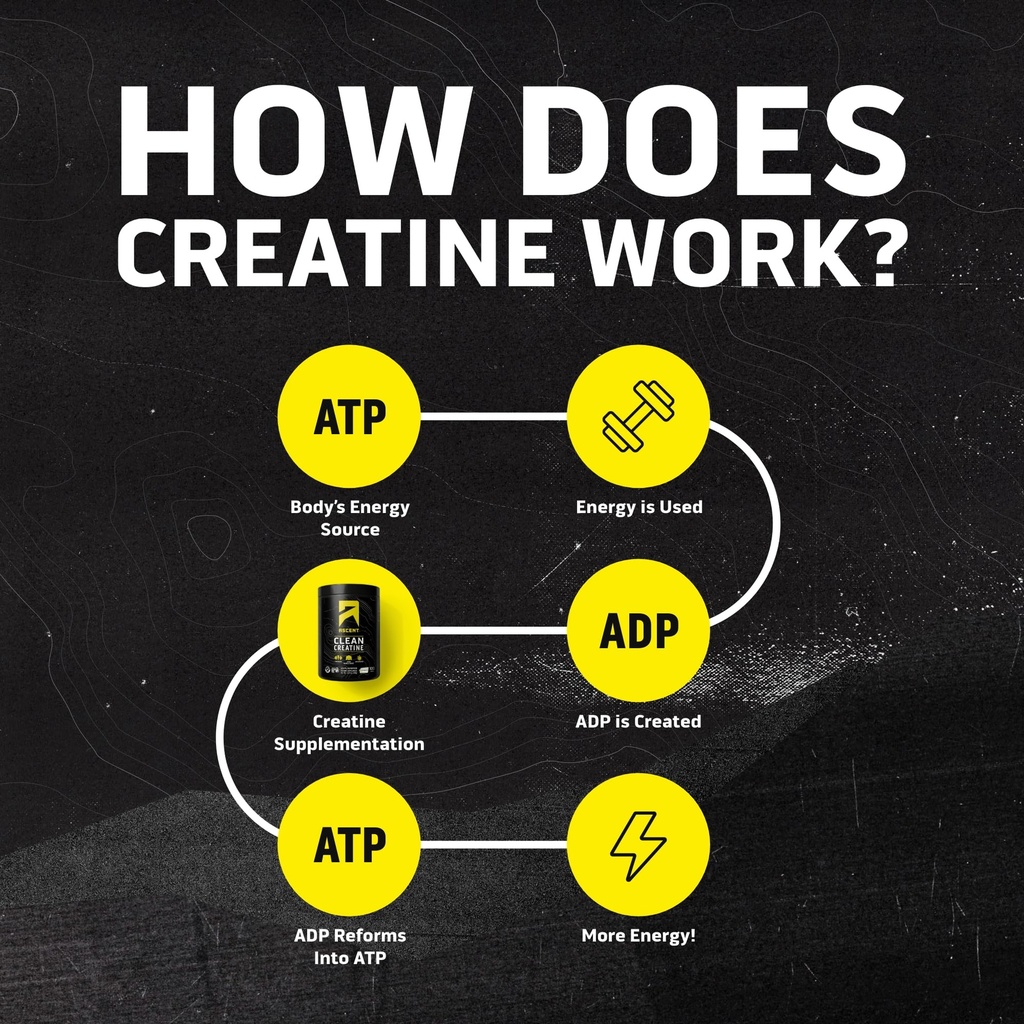 ascent-clean-creatine-monohydrate-creapu-81DN6st58JL.jpg