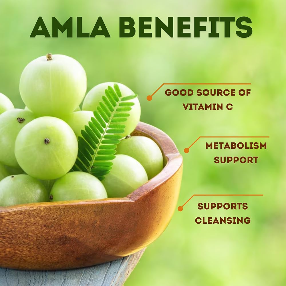 amla-capsules-phyllanthus-emblica-amalak-61+DwMTG-PL.jpg